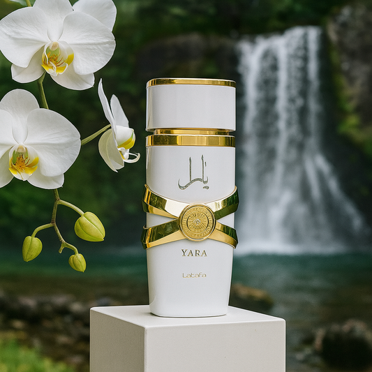 Lattafa Yara Moi 100ml auf Lattafa24.de kaufen
